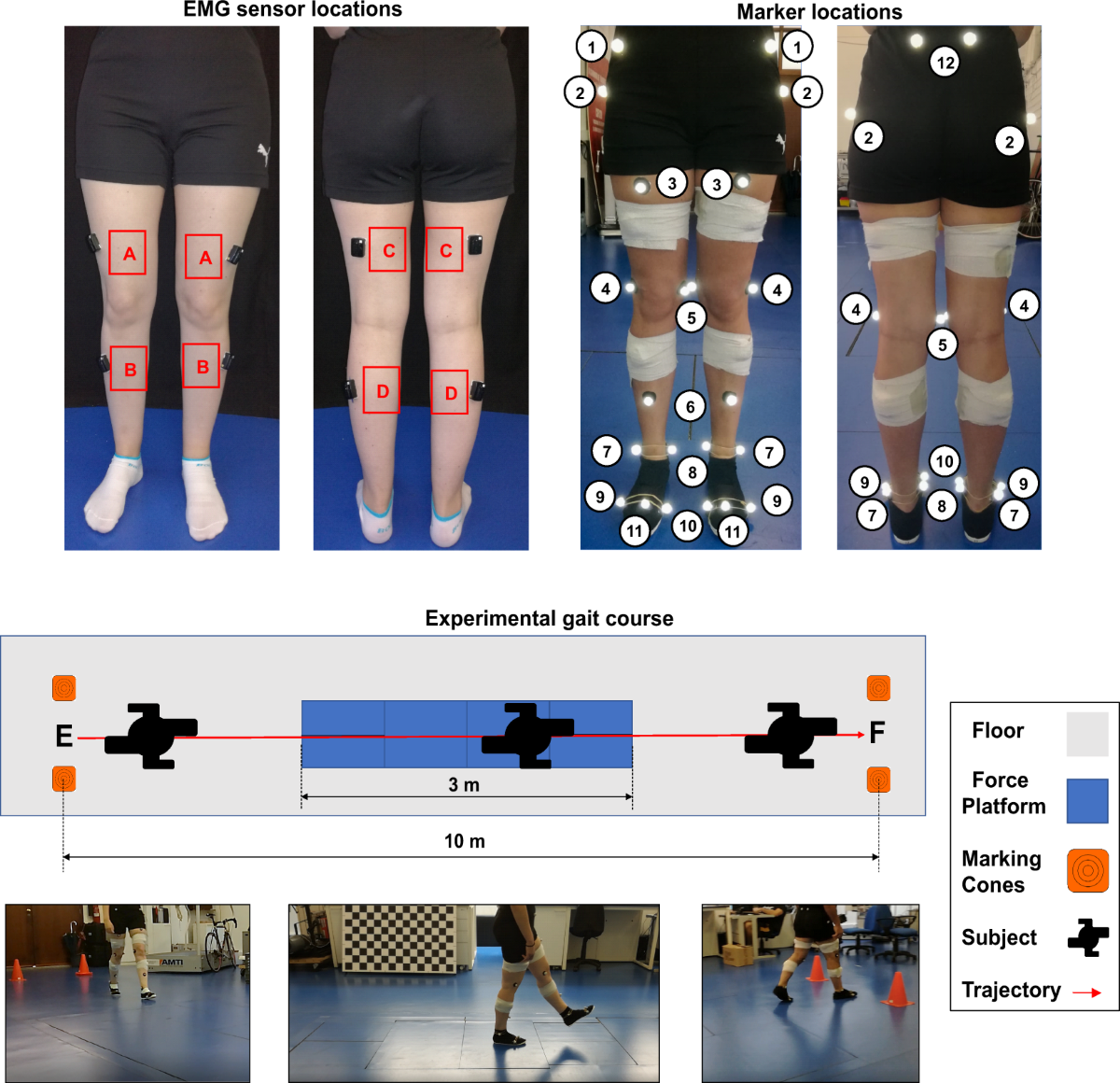 Electrode and marker placement used for the walking EMG and kinematics dataset.
